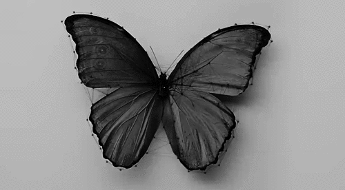 tumblr_p9xot5aQBc1qgt1t2o1_500.gif
