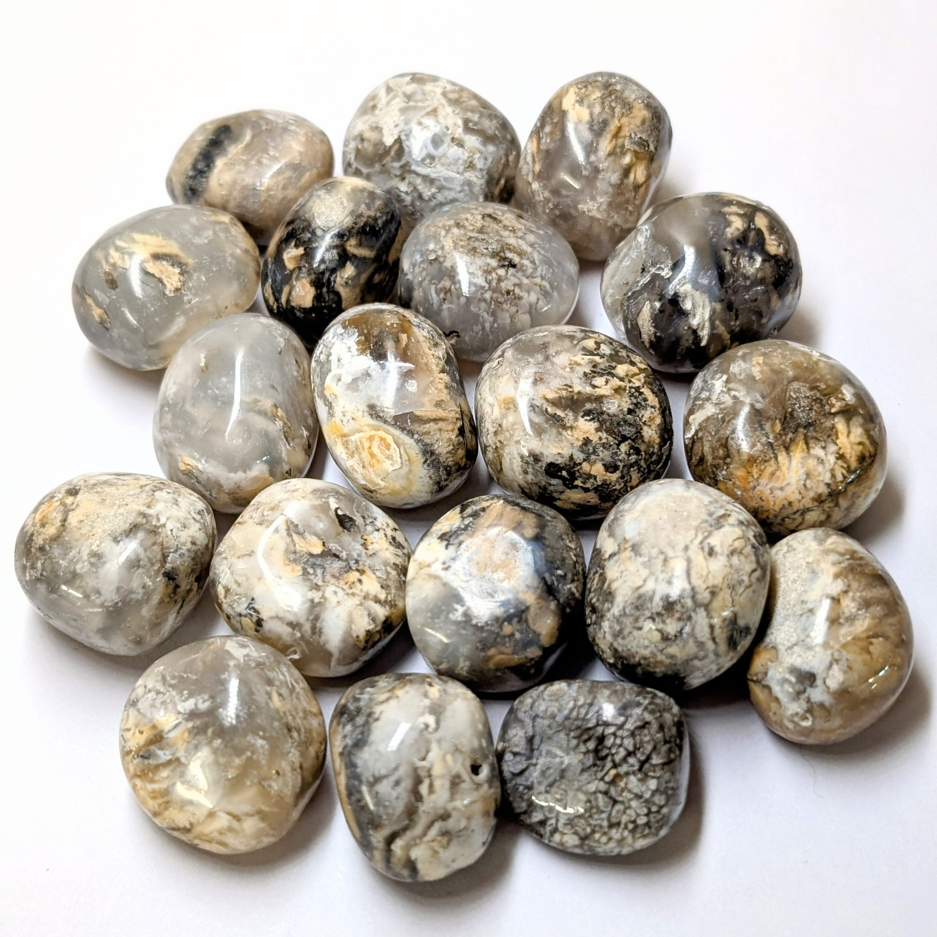 Tiger Dendrite Tumbled