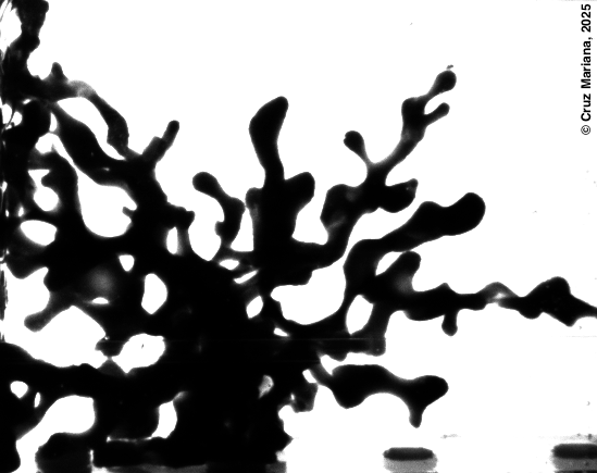 5d548149-0cba-4da6-9c5c-7b249e283120.png
