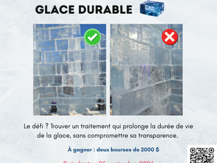 Concours étudiant Le Grand défi de Bonhomme