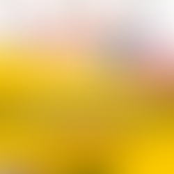 Félicitations à Maylis Carrère pour l’obtention d’une bourse EDI CERMA-CRMR