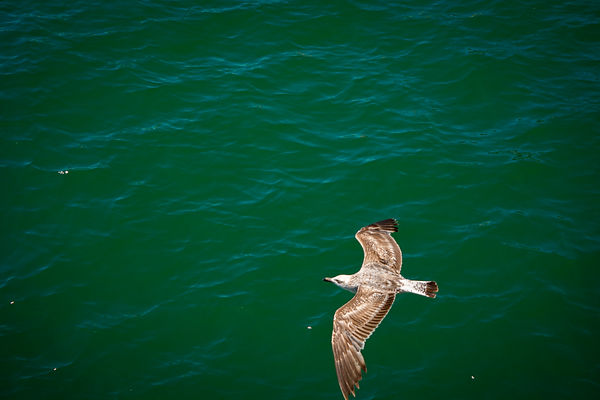 DSC_0258.jpg