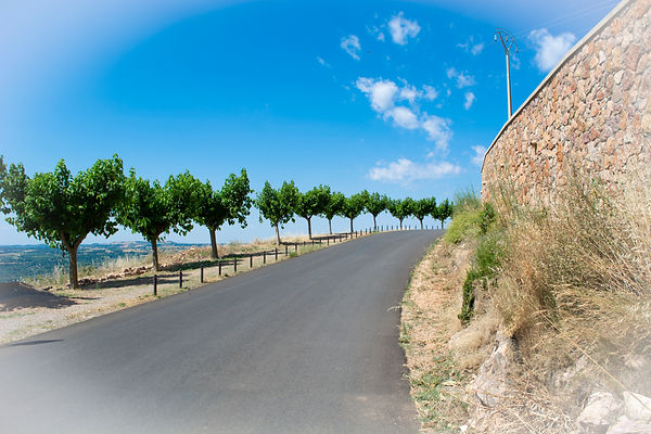 DSC_1015.jpg