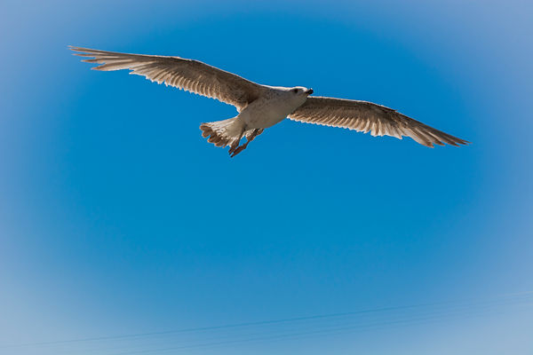 DSC_0199.jpg