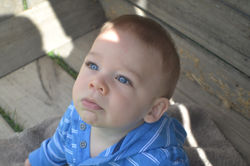 Flynn