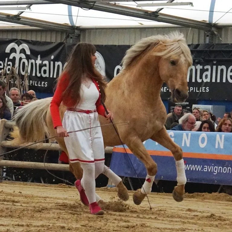 Barroco