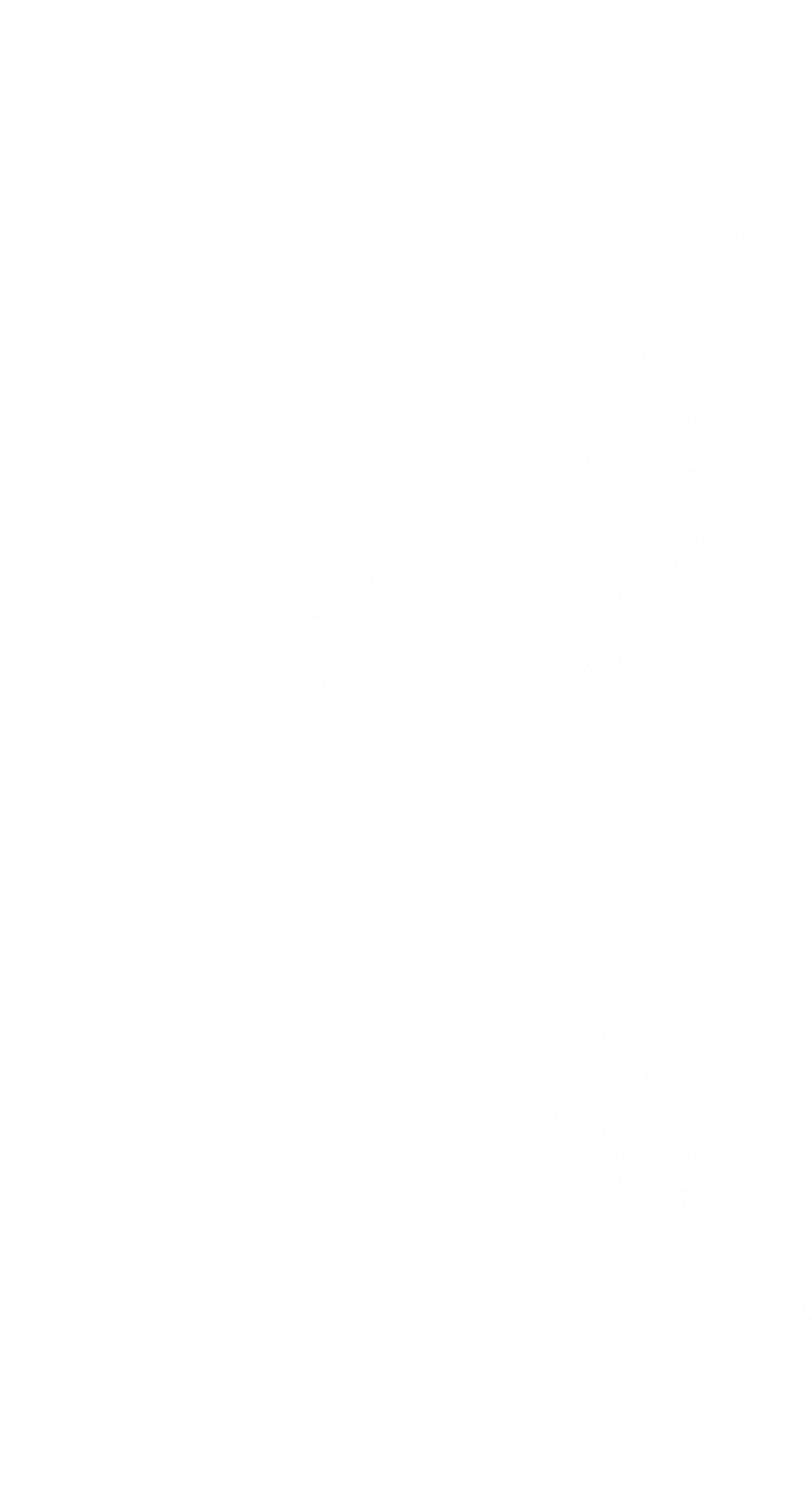 Ilustração_Sem_Título (4)_edited.png