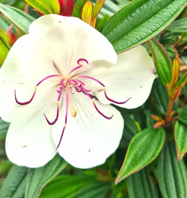 2dc90aec-2696-4e85-b2de-5c4ae060e89c (1).jpg