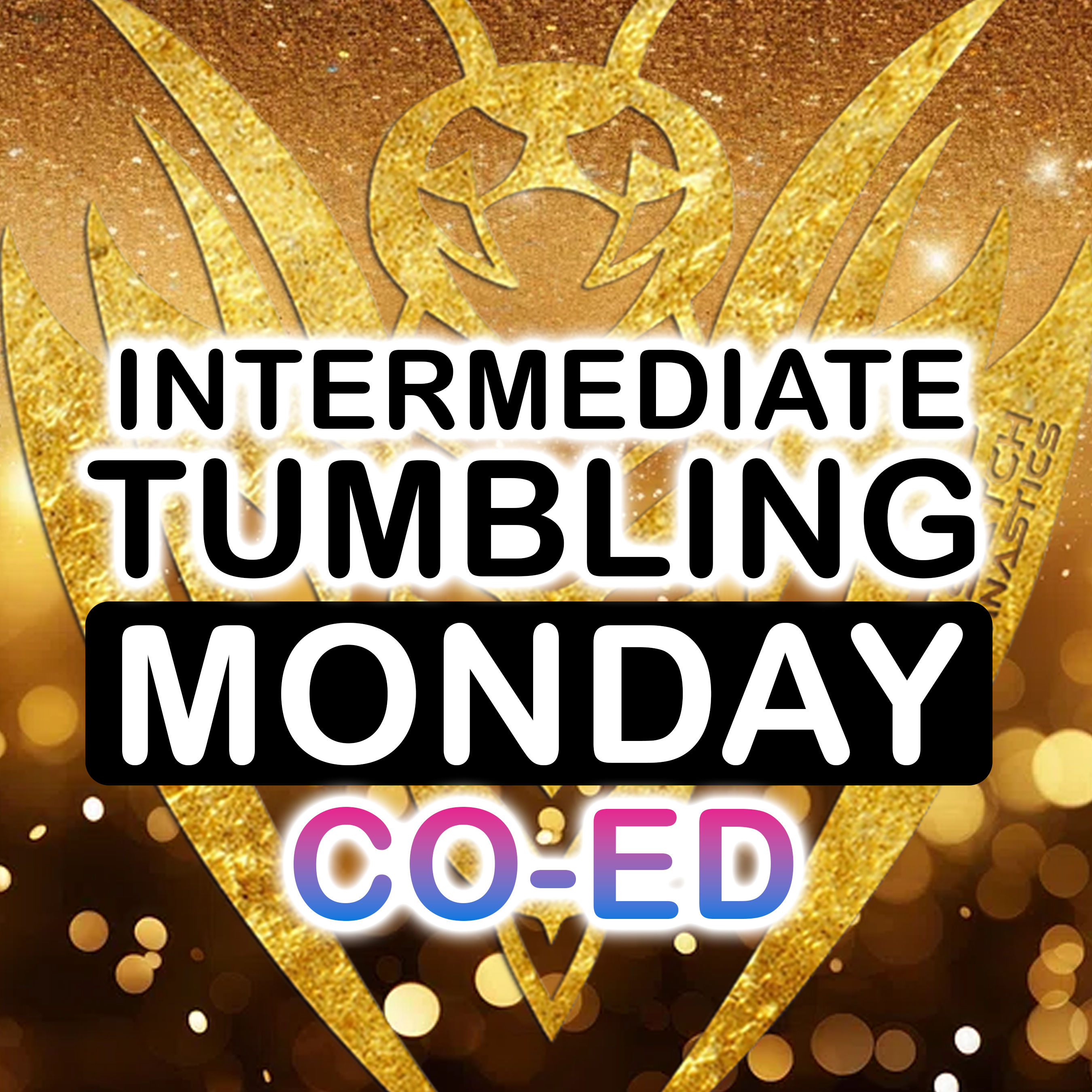 MONDAY Intermediate Tumbling Co-Ed Class 4:00 - 5:00 PM