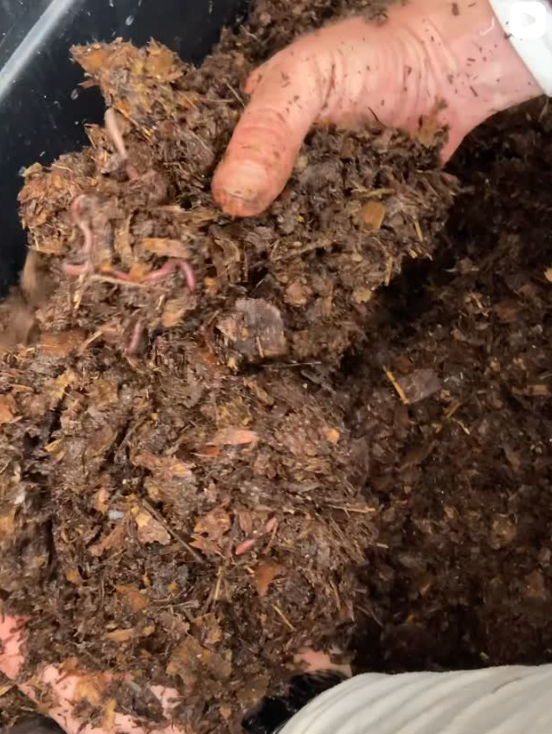 Hands with worms