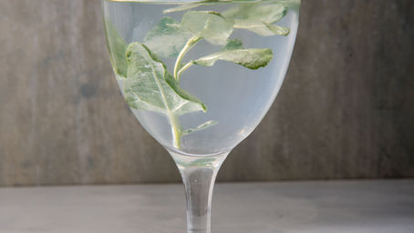 Saltbush: Very Versatile Leaf
