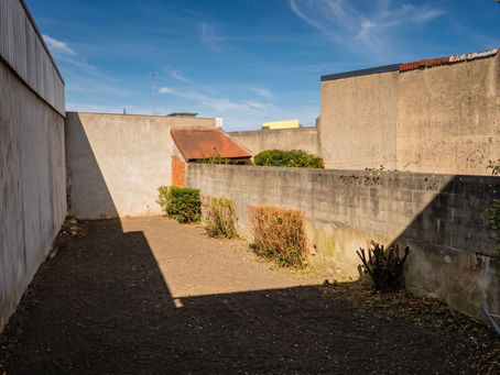 Remise en état complète d'un petit jardin de ville à Châteauroux : taille, débroussaillage, préparation du sol au rotovator. Paysagiste indépendant dans l'Indre.