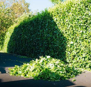 DSC03747-Avec accentuation-Bruit.jpg