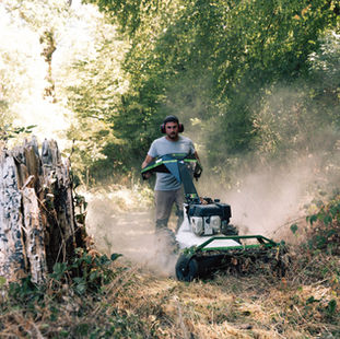 Terrain à l'abandon envahi de ronces à Ardentes