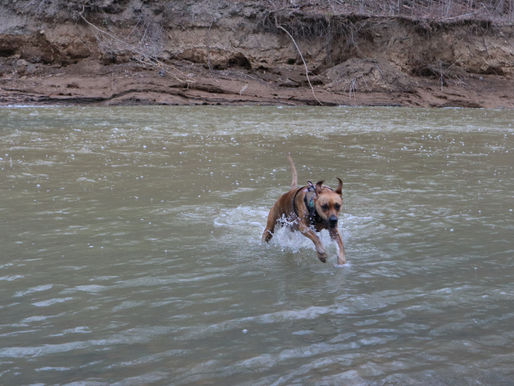 Teaching About Almsgiving