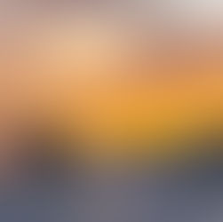 The Local Multiplier Effect: Why $1 in Superior Matters