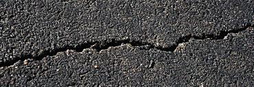 Asphalt Crack