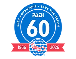60th-logo.webp