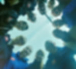 Y-40 uscite diving