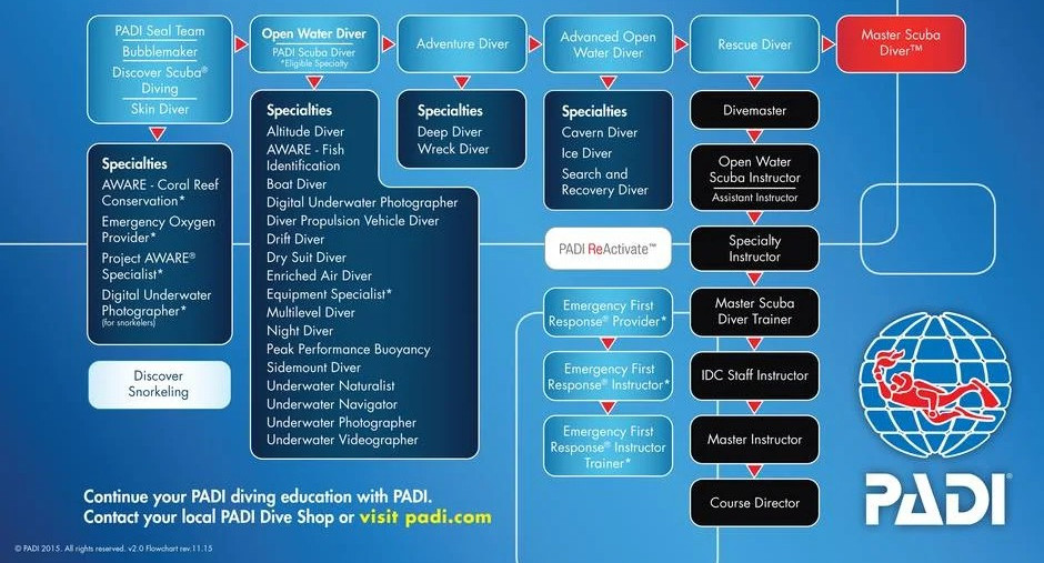 ConEd_Flowchart_Posters_PADI.jpg