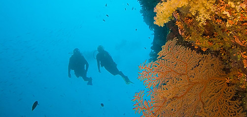 specialità DEEP Padi subacquea Pavia
