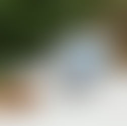 Witzige Illustrationen für Wollbegeisterte