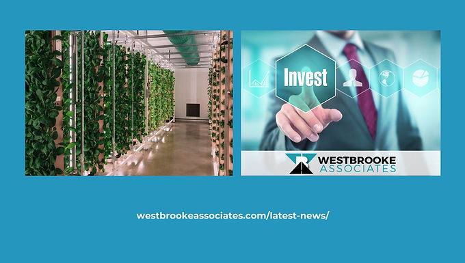 Westbrooke Associates Review: Paving The Way For Another Success As IAG Lists On JP Jenkins