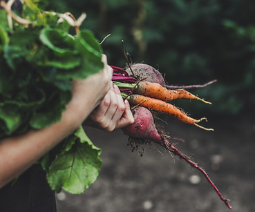 Cours cuisine du Potager Top vegetal proche Lyon