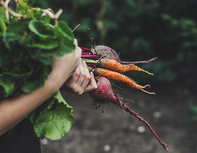 Picking légumes
