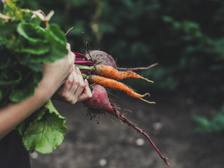 Diet mistakes that have nothing to do with calories