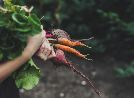 7 benefits of eating local food