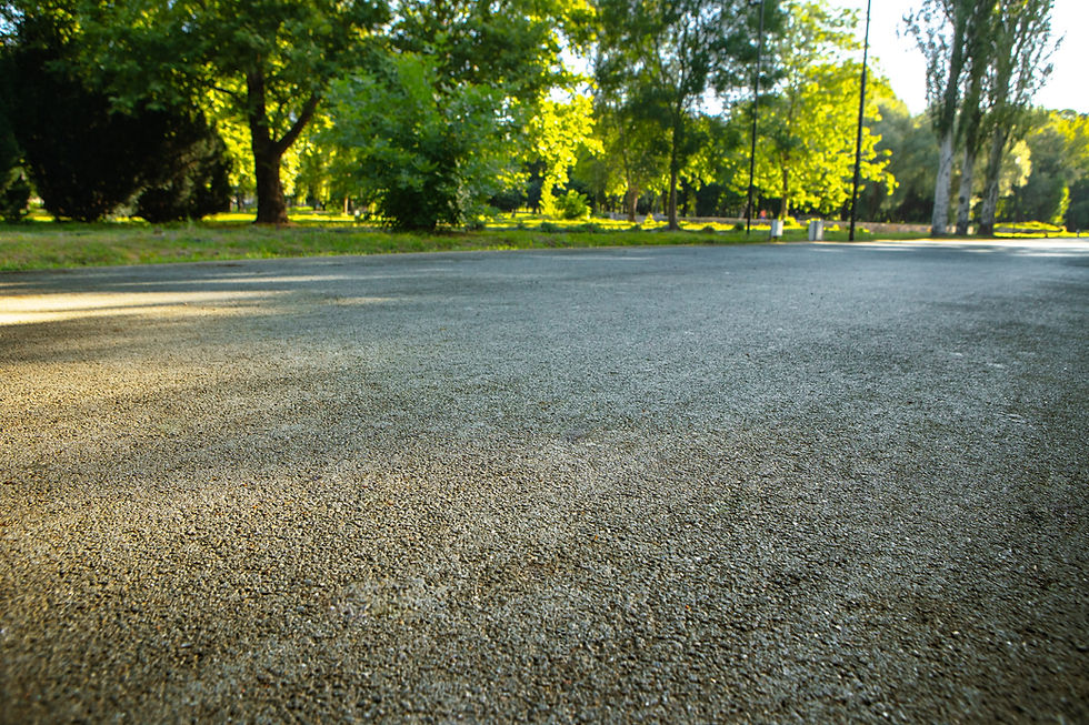 the-road-way-in-the-city-park-with-trees-and-grass-2025-02-24-17-12-40-utc.jpg