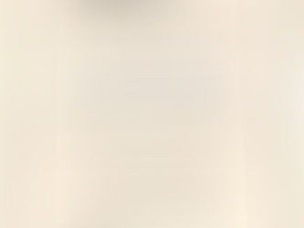 Parker Williams Ordination Service Information