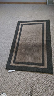 Area Rug Carpet Cleaning Hopkins, MN