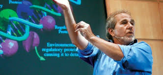 Entrevista a Bruce Lipton. ¿Funciona la ciencia médica?