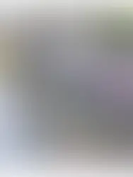 Turn feedback into final designs – seamlessly in SketchUp