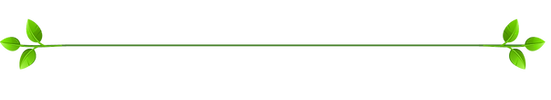 —Pngtree—simple dividing line decoration cartoon_3861161.png