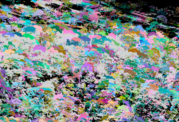 Ecological Health Assessment