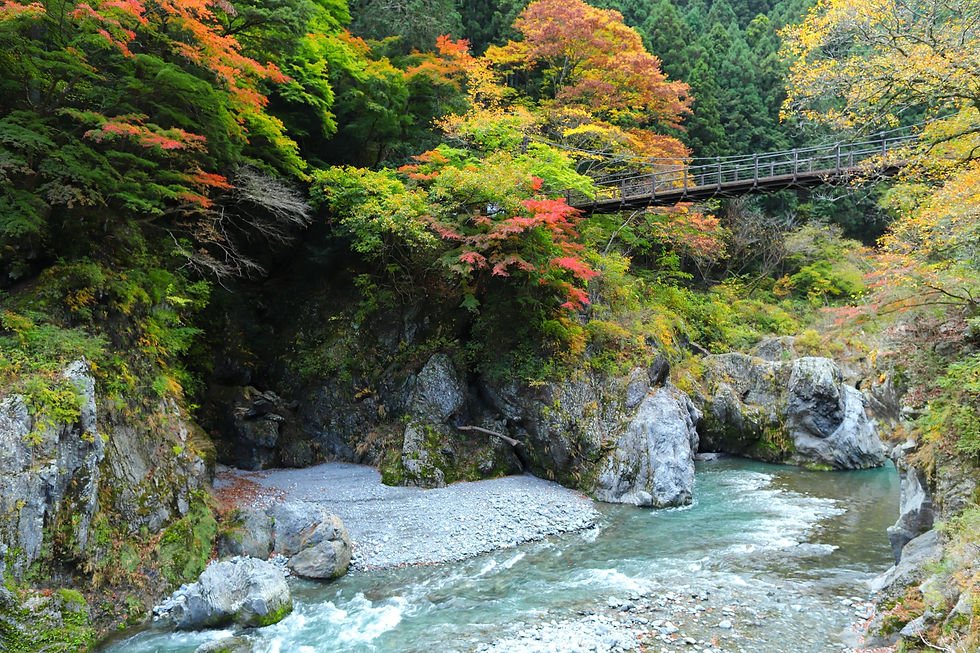 鳩ノ巣渓谷(奥多摩)