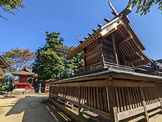 PXL_20220930_003324638.jpg