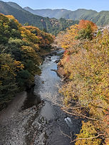 PXL_20221110_013721063.jpg