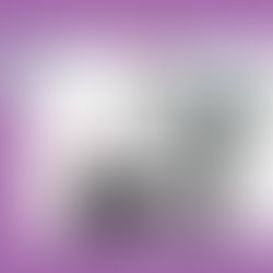 CONCERT CANCELLED! LNSO CHAMBER MUSIC. KRISTĪNE BLAUMANE AND FRIENDS (updated 3 December, 2025)