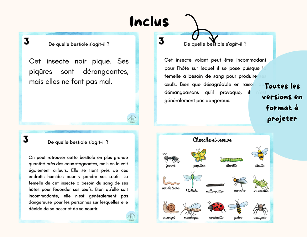 Miniature : Lecture insectes - Inférences