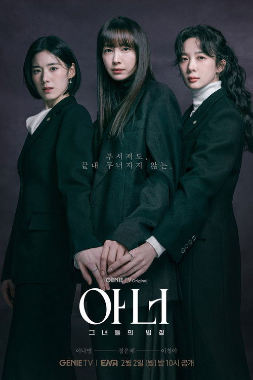 아너 그녀들의 법정 드라마 정보