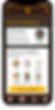 Flat iPhone-16.png