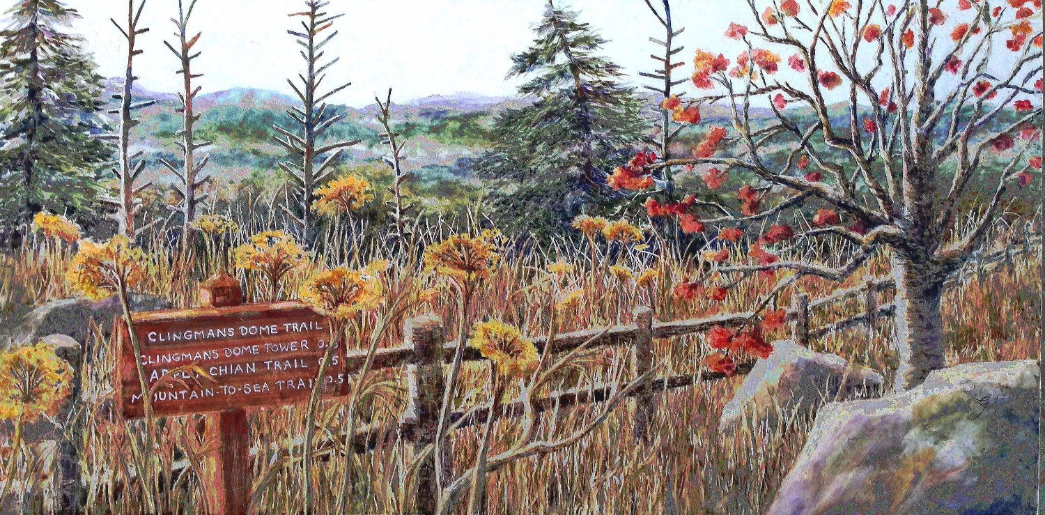 Autumn View at Clingman's Dome in the Great Smoky Mountains National Park