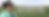 FJF-Website-Header.png