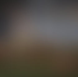 Il Presepe: The Italian Nativity Scene