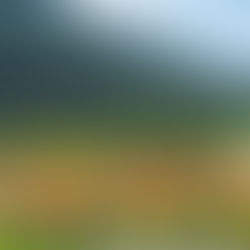 Tennis: The Sinner Effect