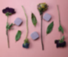Rose-Germanium Shower Melts 